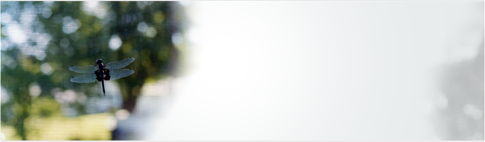 Flyscreen Install and Repairs